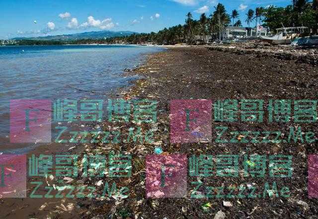 太阳黑子已消失280天,科学家:小冰河时期或许真的要来了