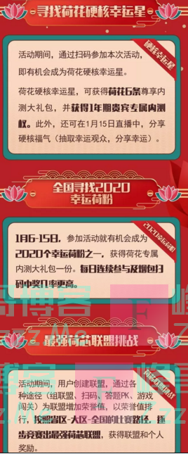 今日荷花别样红2020年集合集荷春节年度盛典盛（截止不详）