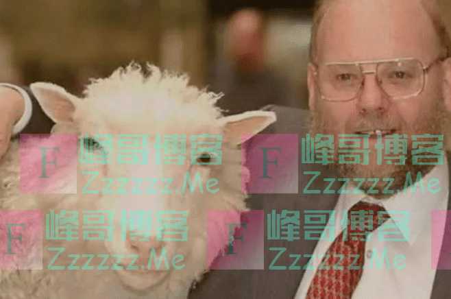 为何现已经没人再提克隆了? 看看克隆羊“多莉”下场, 就知道答案