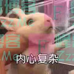 你的第一个网名有多非主流？哈哈哈哈我笑到灵魂出窍！