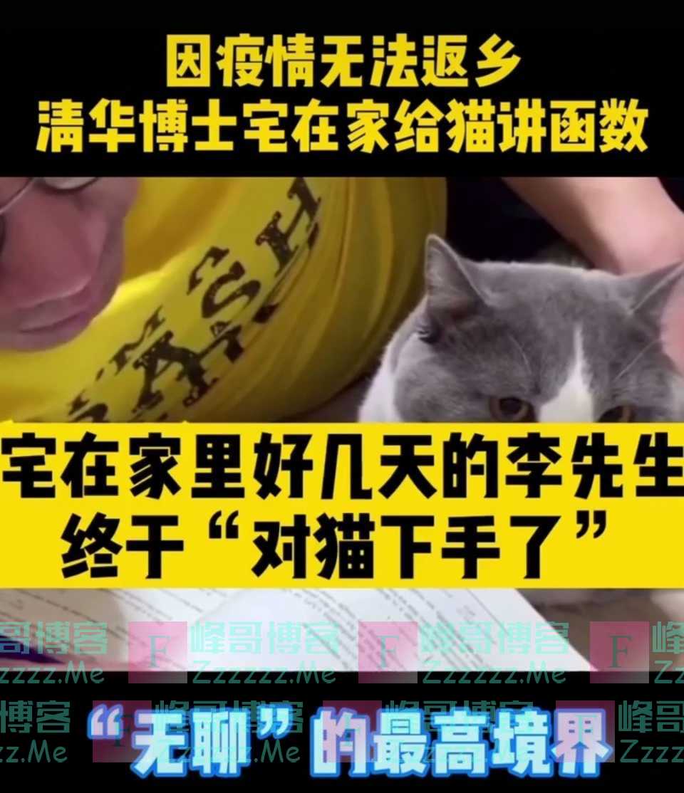抖音上最惨的猫没有之一,猫咪:爸爸,我到底做错了什么