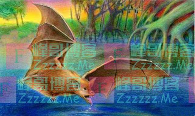 有人说蝙蝠是老鼠演化而来的，这可信吗？蝙蝠的起源到底是怎样的