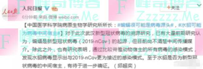 新型冠病毒源头再爆大料, 除蝙蝠外又一动物进入视野, 超可怕?