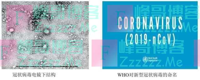 钟南山: 人类冠状病毒再添新成员: 2019-nCoV