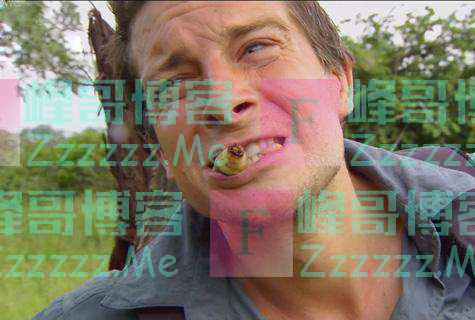 蝙蝠携带病毒,贝爷吃蝙蝠都要烤四小时,他们比贝爷还“牛”?