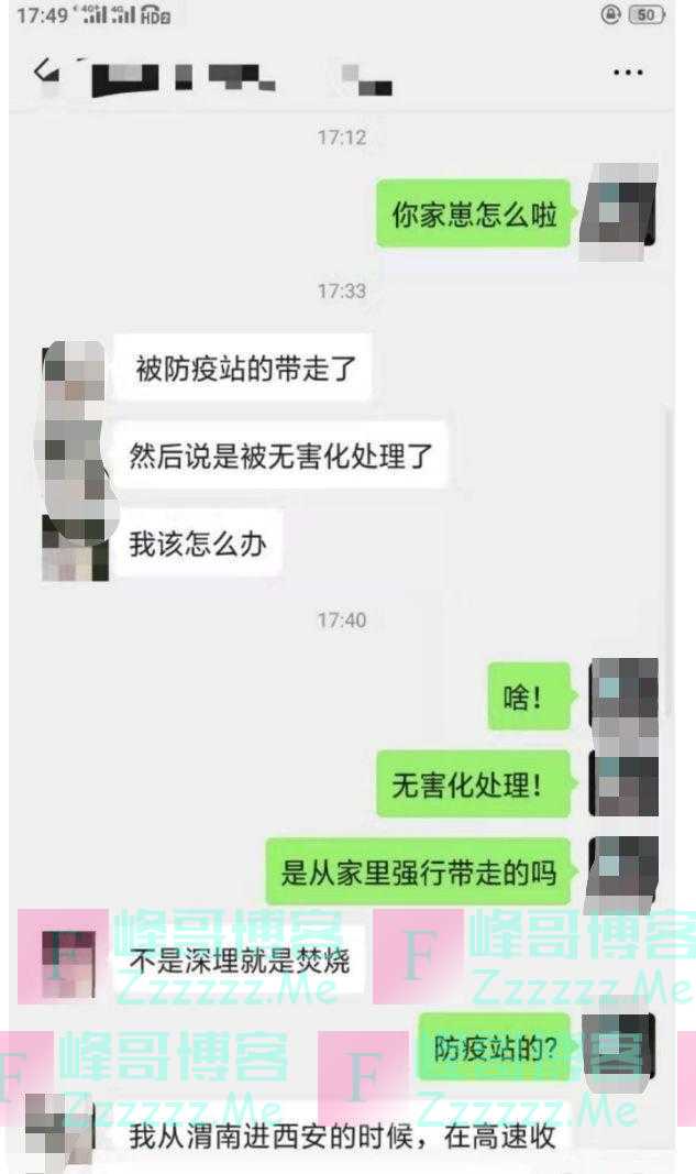 过高速猫狗被焚烧，人被隔离猫咪被活埋，社区可以依法杀害猫狗吗
