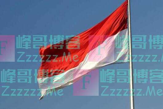 对华疫情做出过激反应后，印尼突然改口！将600亿新项目交给美国