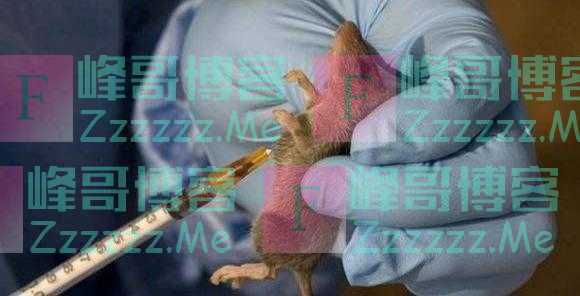 比新冠状病毒还可怕!又一场疫情在非洲爆发,病毒正通过体液传播