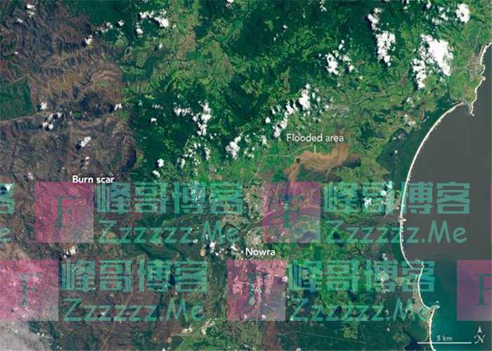 燃烧半年的澳洲大火，终于熄灭了，为何说是下一个悲剧的开始？