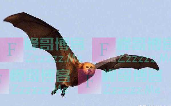 美科学家发现青藏高原28种新病毒，并称全球变暖或释放出远古病毒