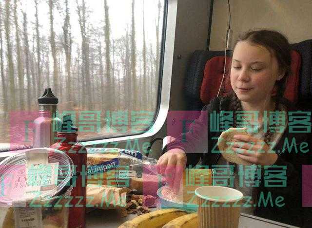 环保公主呼吁中国立即停止用筷子，我国还没回应，把外国人逗乐了