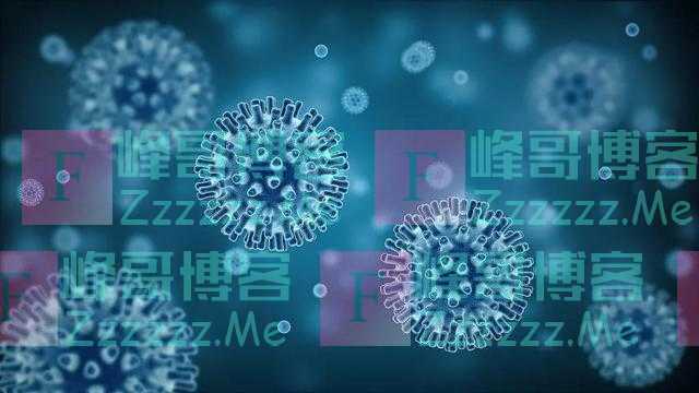 突发！确诊已超过1000例，我们的邻国—韩国、日本已经沦陷！