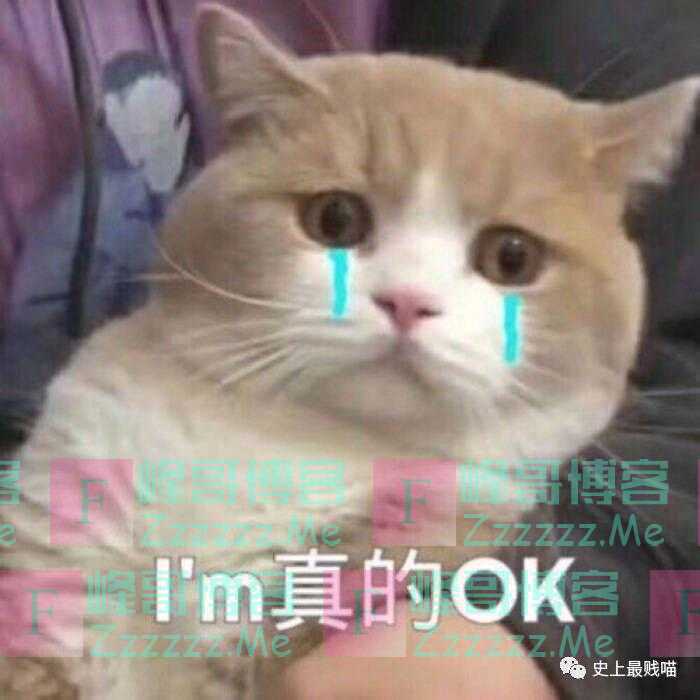 “第一批在家办公的网友们已经疯了！”哈哈哈哈哈哈人间真实！