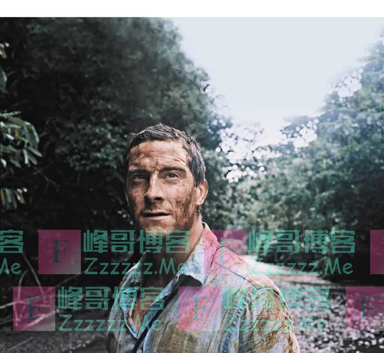 还记得站在“食物链顶端”的贝爷，为何销声匿迹了？听听专家咋说