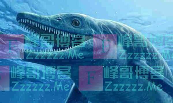 星球那么重,为何还能漂浮在宇宙中,究竟是什么力量在操控它们?