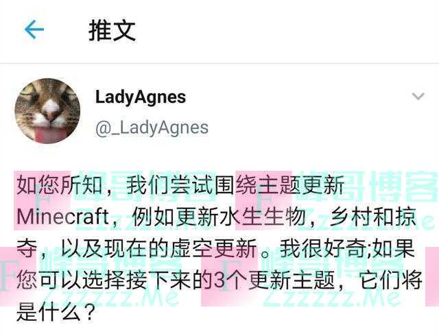 我的世界：Mojang票选未来你最期待的三个更新！洞穴更新赢了？