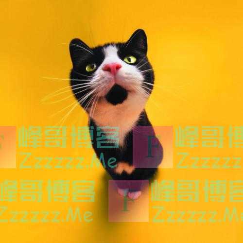 幽默段子：他是你远方的表哥，你说干啥不好，非要去挖煤