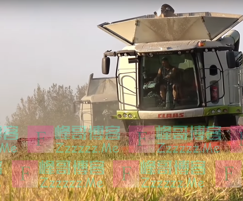 又有3国加入！全球多国开始限制粮食出口，中国作出“重要表态”