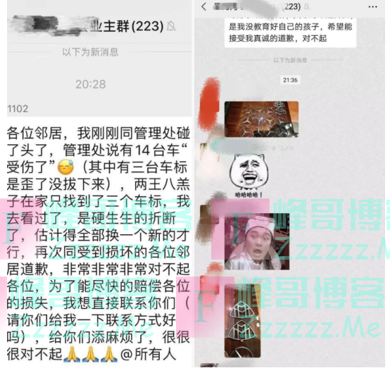 连掰14台豪车车标，这对熊孩子哥俩火了，其中包括两台迈巴赫