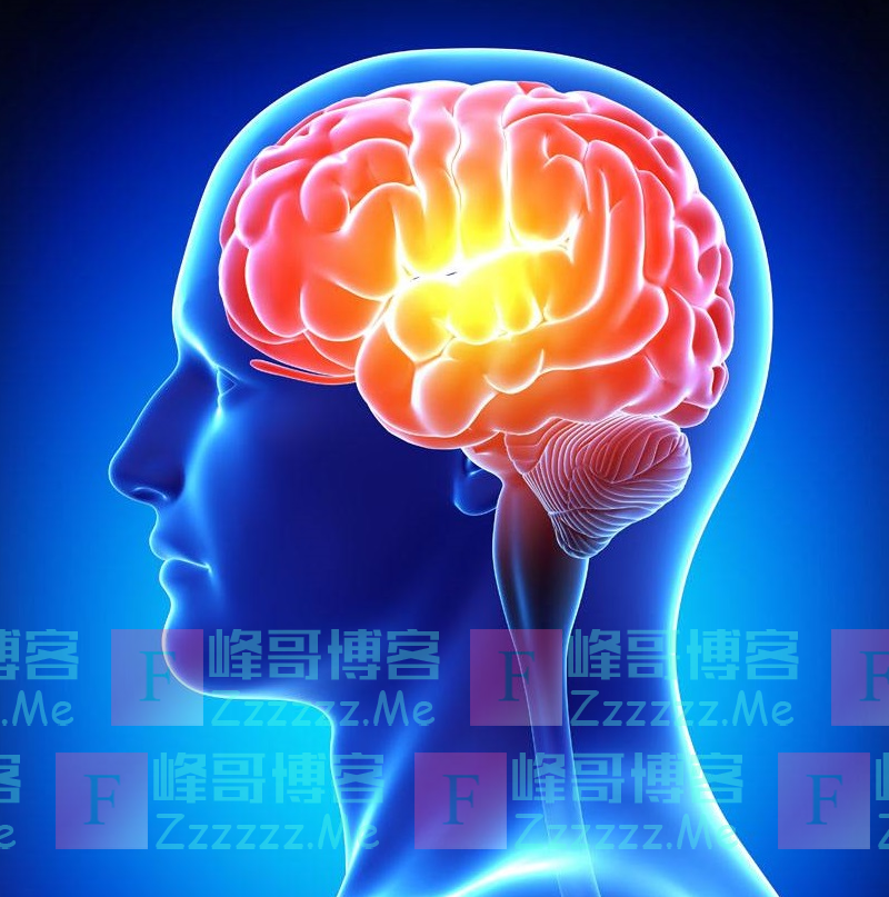 人类大脑中也有细菌群落?科学家这一发现骇人听闻