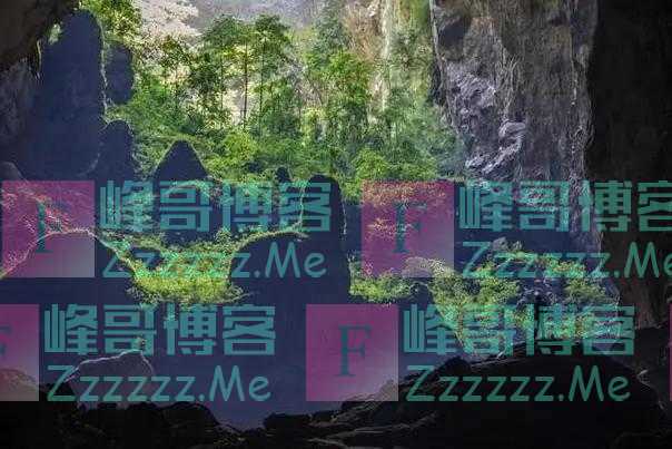 越南发现史上最大洞穴,能容纳72亿人!人类最后的“诺亚方舟”