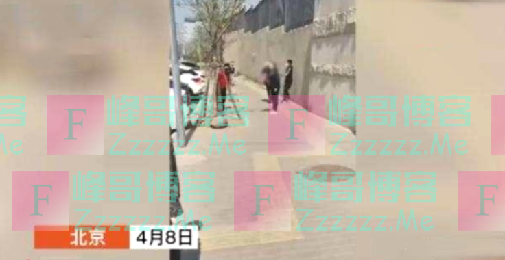 愤怒！北京一12岁男孩拿石头狂砸志愿者，大骂：把你妈骨灰给扬了