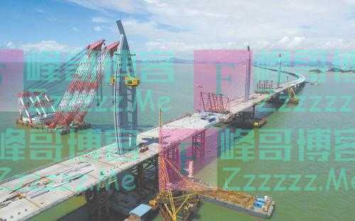 中国援建越南3000亿大桥因超载坍塌，声讨中国赔偿一座港珠澳大桥