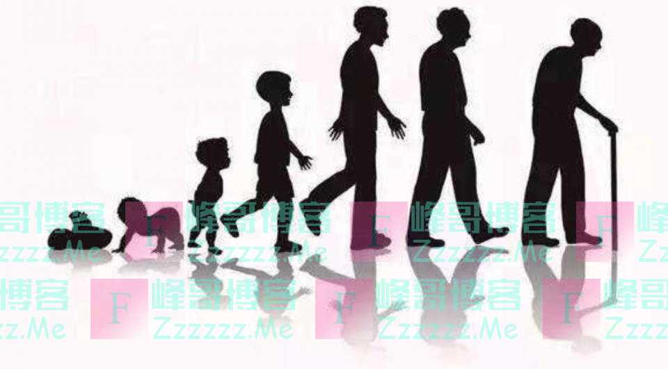 人为什么不能起死回生？科学家成功复活死亡猪脑，真相却很残酷