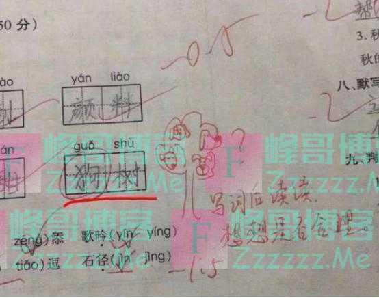小学生“倒数第一”试卷火了，改卷老师笑到手抖：都是段子手