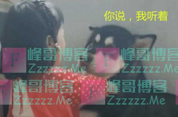 宝宝被训后向狗狗“告状”,狗狗看到宝妈后“怂了”,我也很怕啊