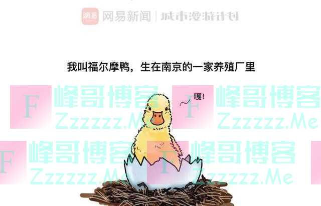 漫画：下辈子还要做一只鸭子，只是不要出生在南京了