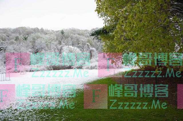 2020年怪事多，纽约五月飘飞雪！网友：麻烦送点寒冷给炎热的加州