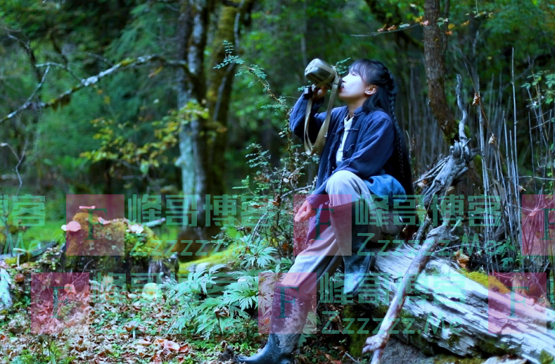 李子柒视频被吐槽造假？看她从山上挖的“竹笋”，网友：全是摆拍