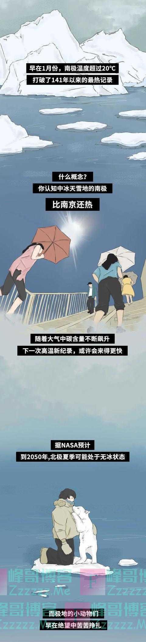 北极熊死于溺水，海豹宝宝被冻死，2020还会好吗？