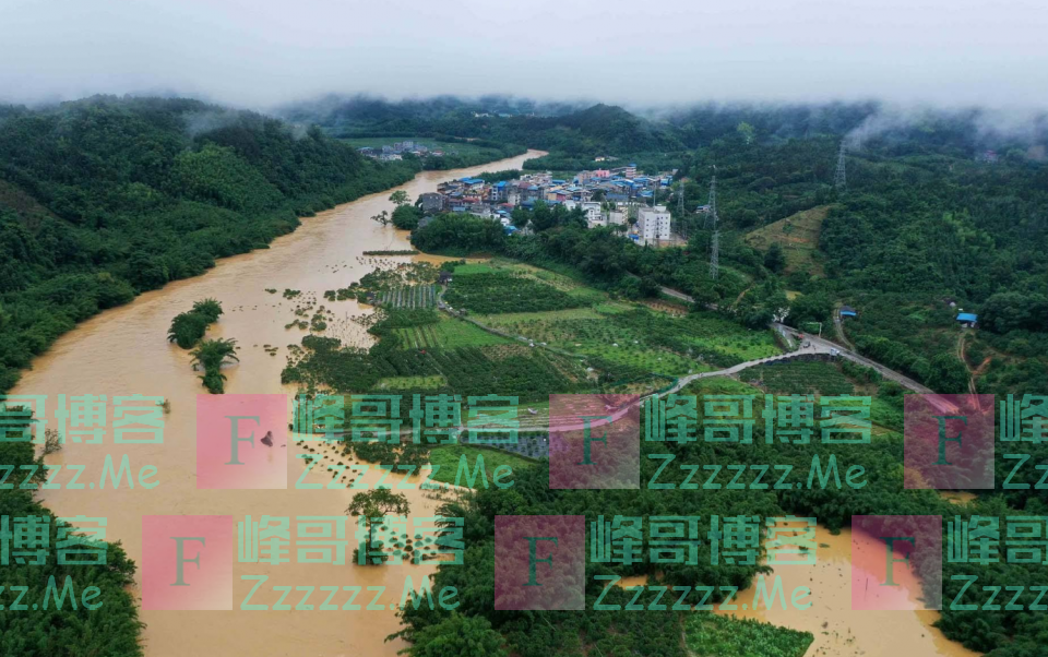 2020年洪灾又来了!持续强降雨,对粮食收成有什么影响?