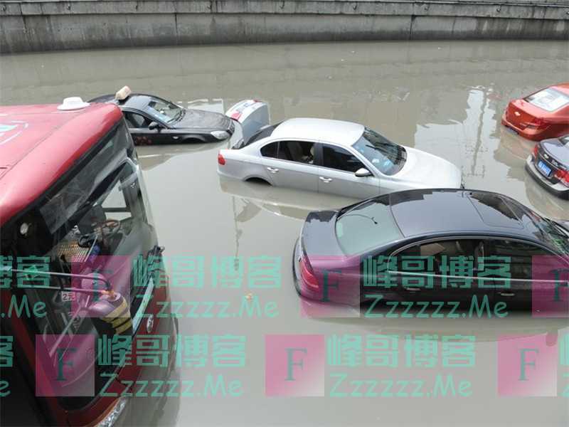暴雨天成车主“摇钱树”，保险公司哭了：赔的家底都不剩了！
