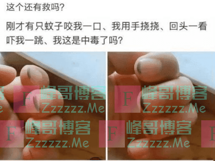 “给你一万，你敢不敢上去走一圈？”评论区是人才啊！