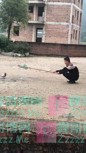 搞笑GIF：什么叫顺丰，只要不违法，你敢下单，我就敢接单！