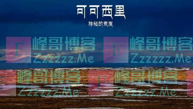 可可西里失联女大学生仅剩遗骸：世界这么大，你还想去看看吗