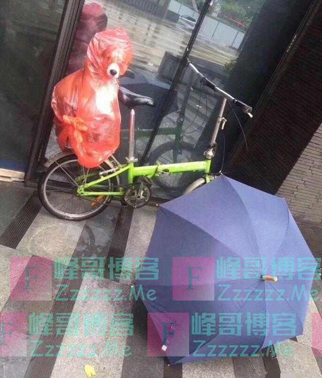 说出来你可能不信，我因为醒的晚被人挂到网站上了