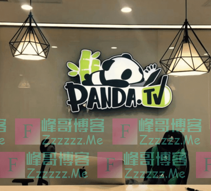 熊猫破产真相曝光，PDD年薪上千万，流水却只能做到200W！