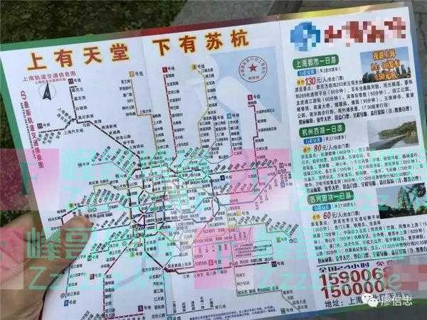 网友参加冒牌“上海一日游”,经历笑喷众人,评论区成吐槽现场