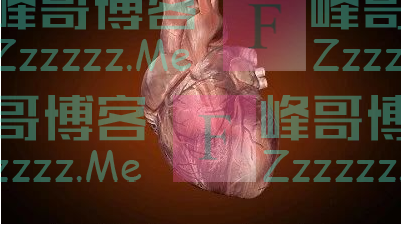出厂3000售价27000，心脏支架成为医疗腐败重灾区