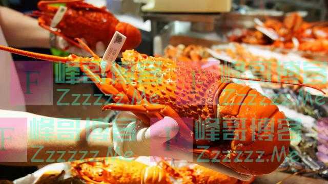 澳洲龙虾低价贱卖，莫里森却要向世贸告状甩锅，中国拒绝当冤大头