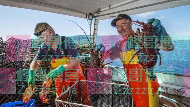 澳洲龙虾低价贱卖，莫里森却要向世贸告状甩锅，中国拒绝当冤大头