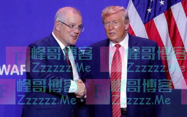 澳洲龙虾低价贱卖，莫里森却要向世贸告状甩锅，中国拒绝当冤大头