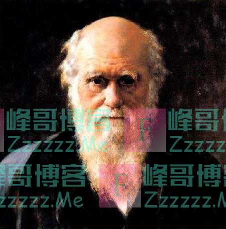 为什么知名的科学家很少是黑种人?研究数据显示,有30%数值差