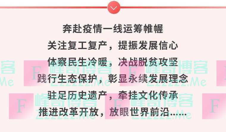 不一样的2020，总书记步履不停