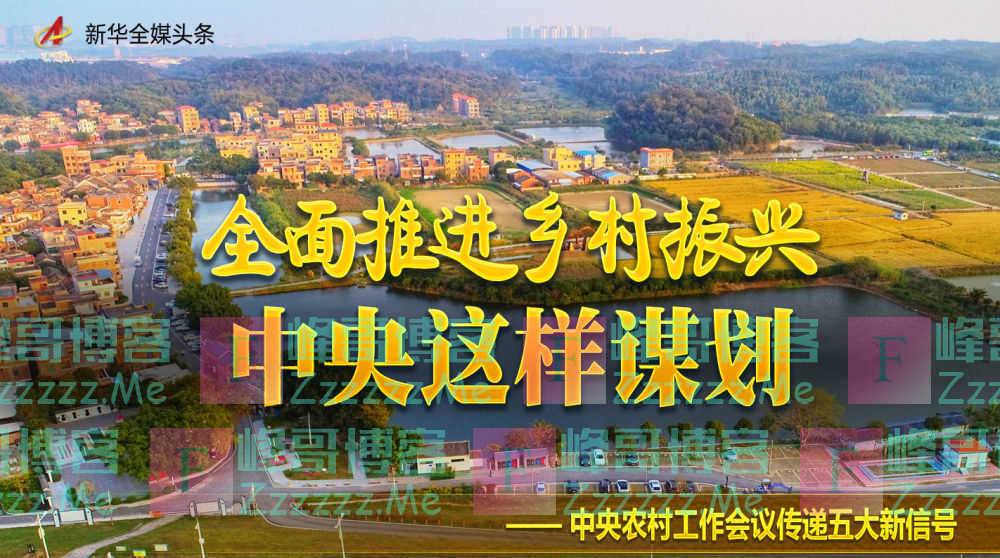 全面推进乡村振兴，中央这样谋划