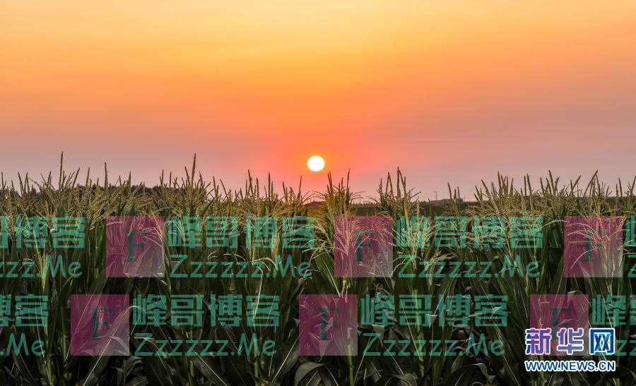 风卷红旗过大关